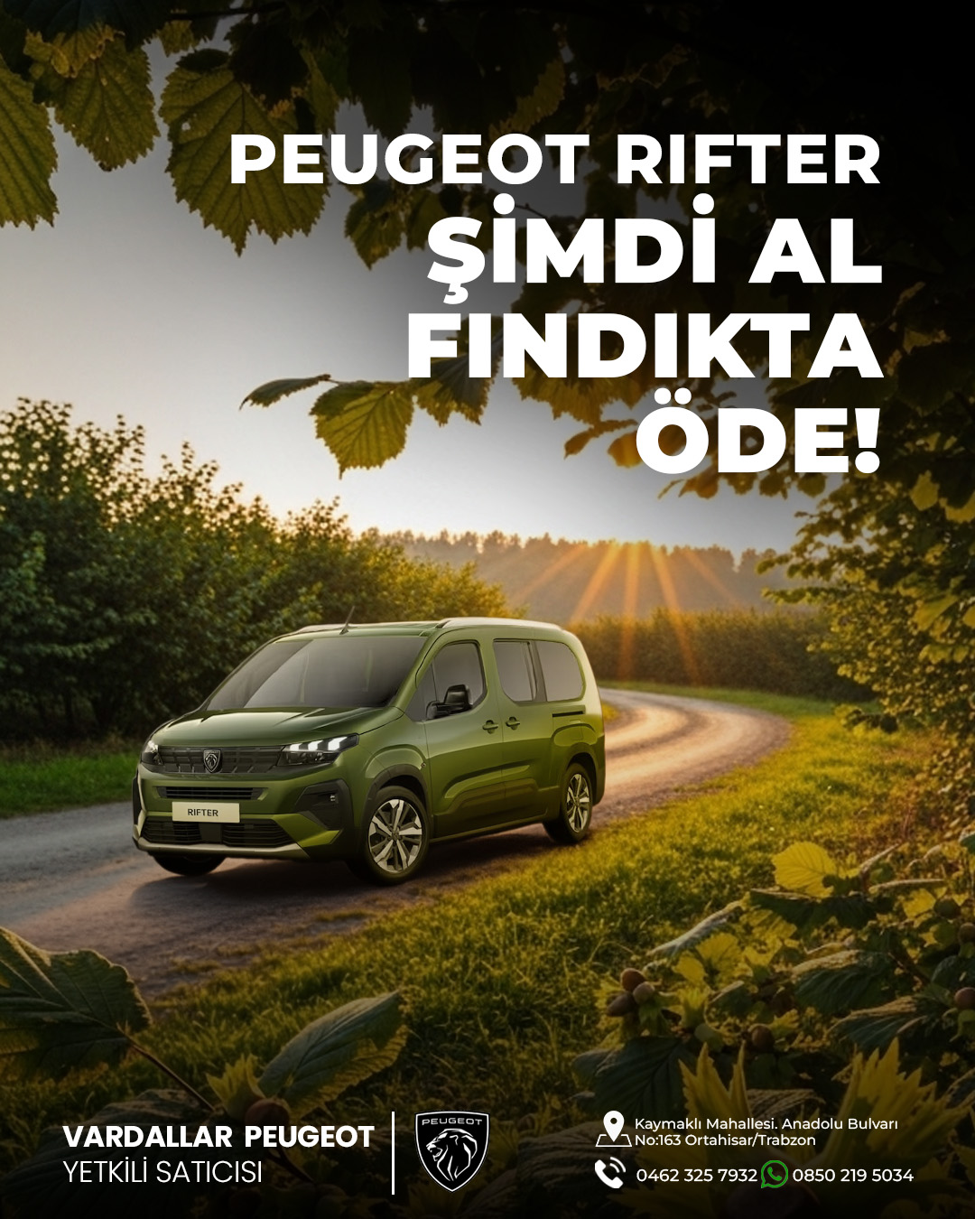 Vardallar Peugeot: Peugeot Rifter "Fındıkta Öde" Yerel Satış Kampanyası