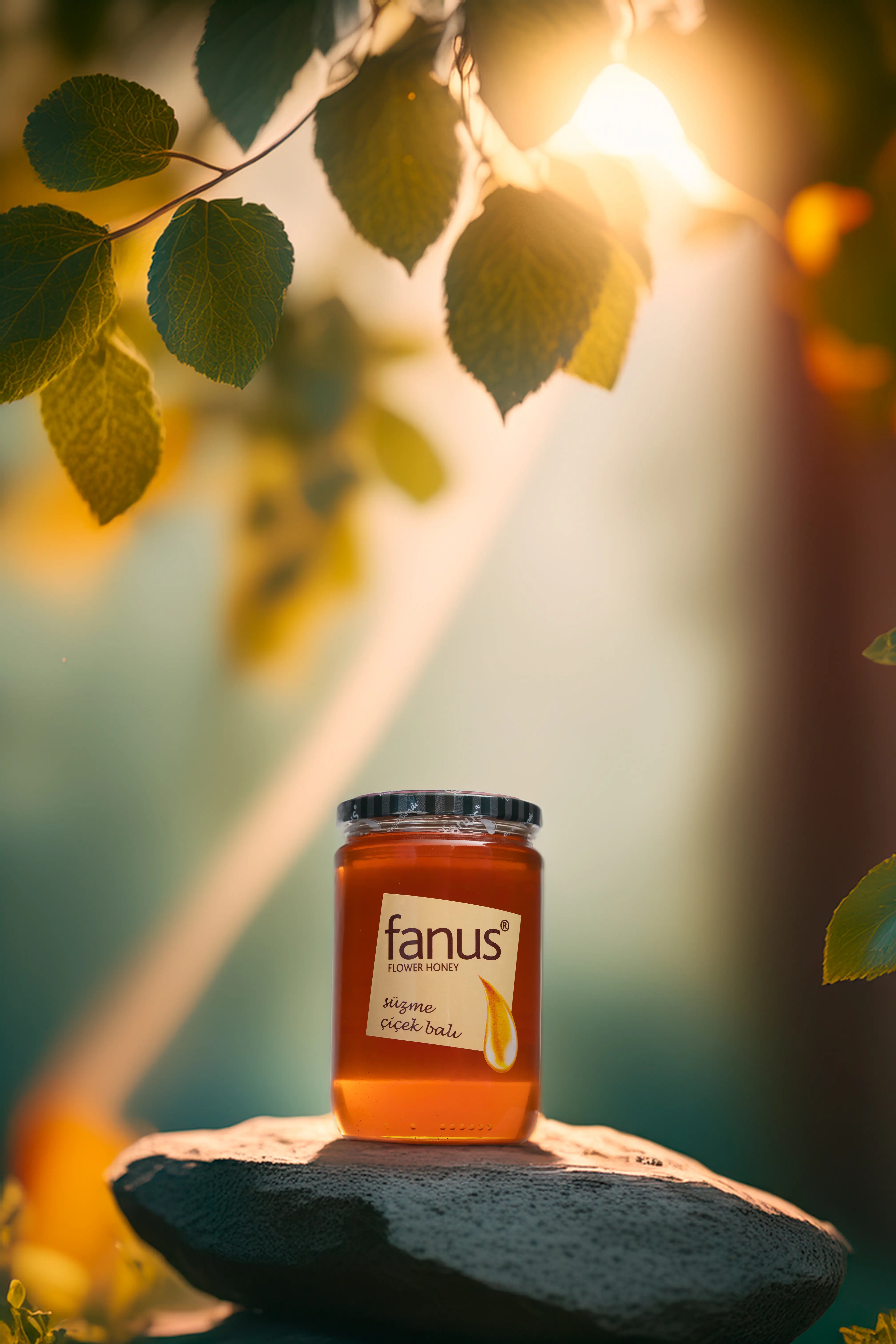 Fanus Organik için Profesyonel Mekân Fotoğraf Çekimi